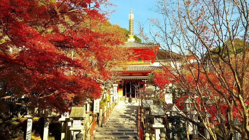 成福院
