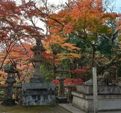 紅葉1