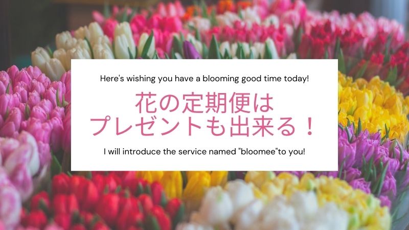 花の定期便（bloomee）はプレゼントも出来る！
